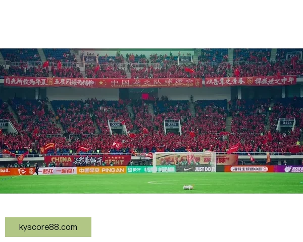 美加墨世界杯买球热潮席卷，如何把握投资机会与风险